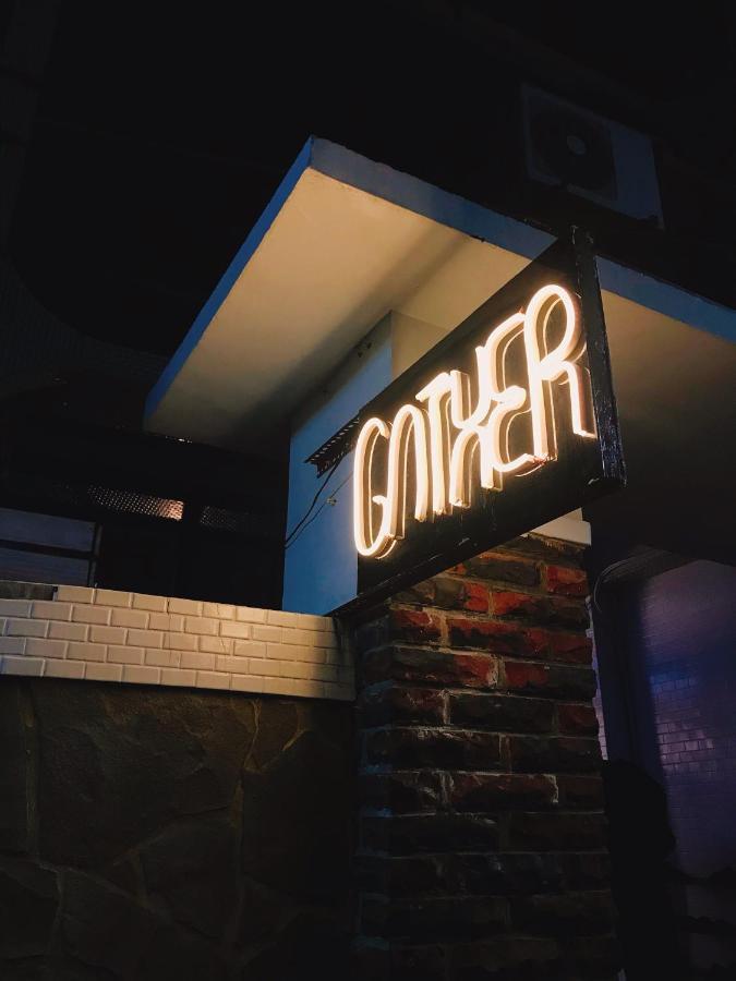 Gather تاينان المظهر الخارجي الصورة